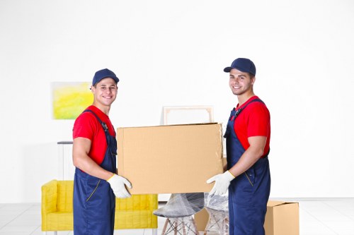 Illustration representing cookie usage on the Bayswater Removals website